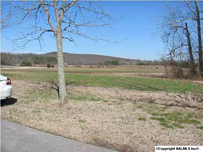 Harvest, AL 35749,David Douglass Road