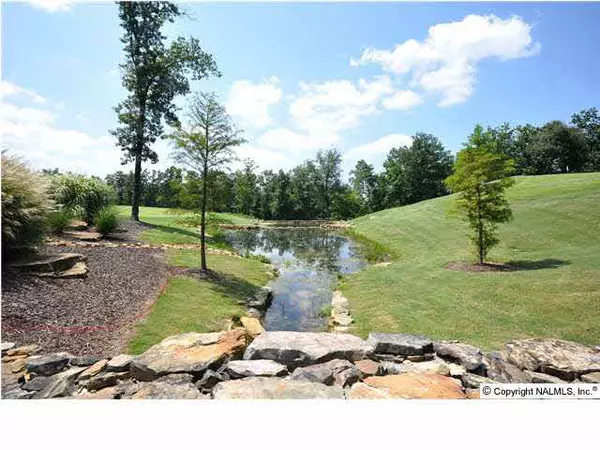 Ledge View Drive, Huntsville, AL 35802