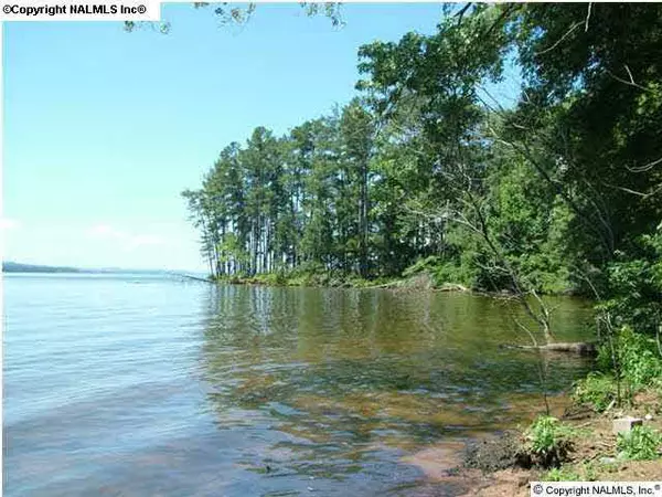 Scottsboro, AL 35769,Holiday Shores Cut-Off Road