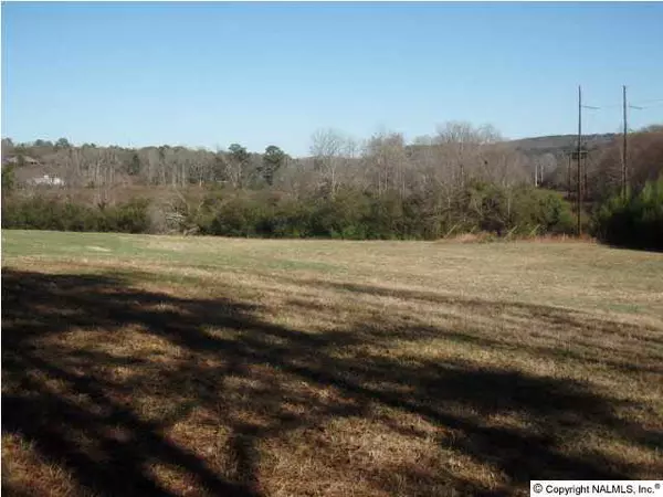 Tabor Road, Gadsden, AL 35904