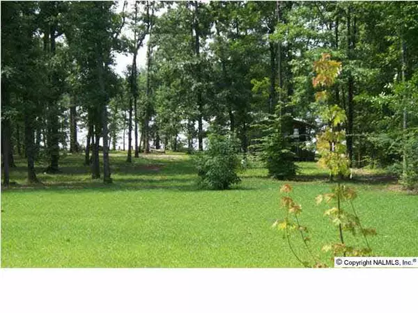 Cedar Bluff, AL 35959,1470 County Road 131