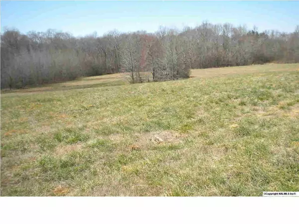 Toney, AL 35773,Pulaski Pike