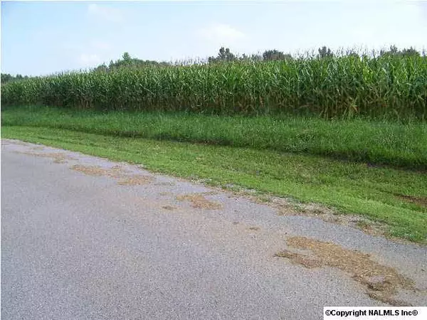 Toney, AL 35773,Hammond Lane