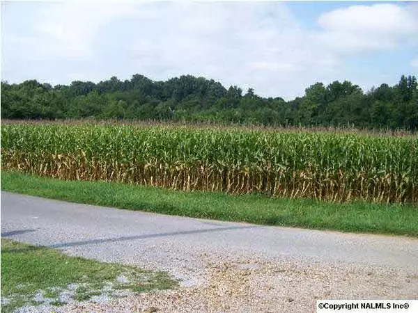 Toney, AL 35773,Hammond Lane