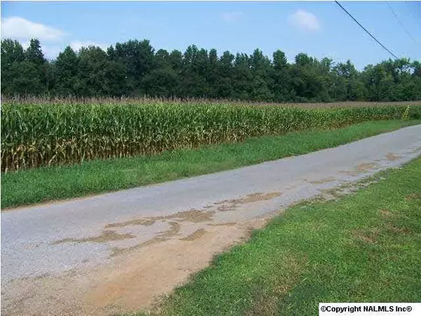 Toney, AL 35773,Hammond Lane