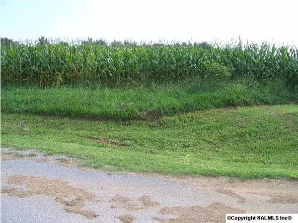 Toney, AL 35773,Hammond Lane