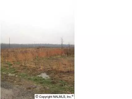 Rainsville, AL 35986,473 County Road 441