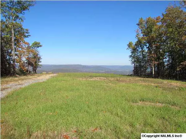 Scottsboro, AL 35768,362 Cliff Top Road