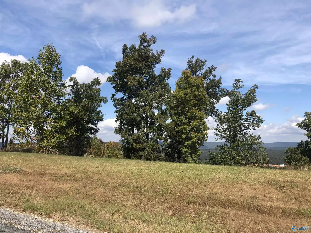 Cedar Bluff, AL 35959,Lot 205 County Road 767