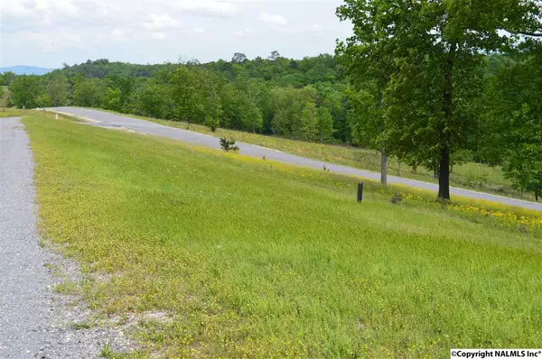 Cedar Bluff, AL 35959,Lot 205 County Road 767