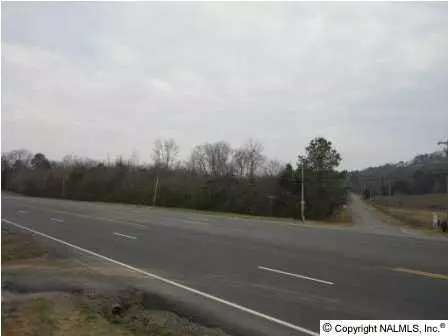 0 Highway 431, Guntersville, AL 35976