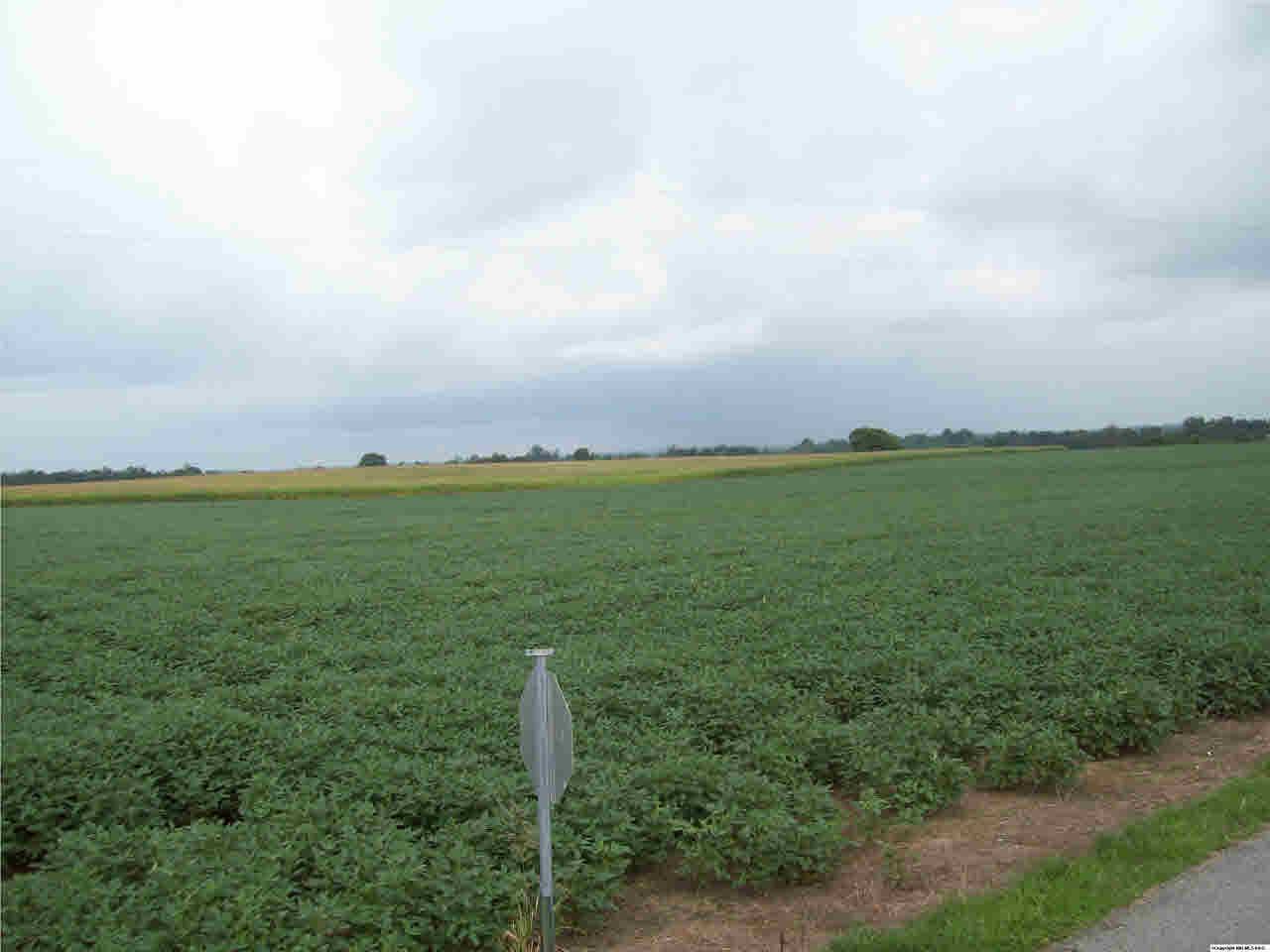 Flintville, TN 37335,1 Borderline Road