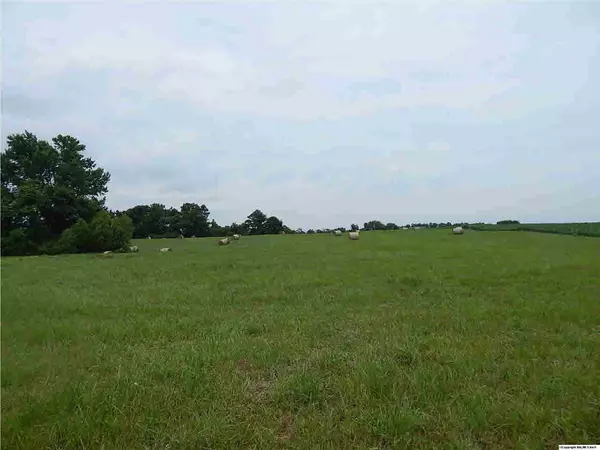 County Road 400, Grove Oak, AL 35975