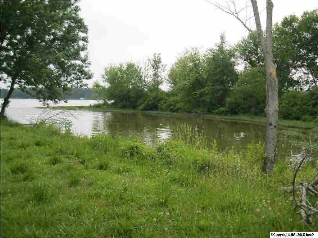Southside, AL 35907,Hood Cove Road