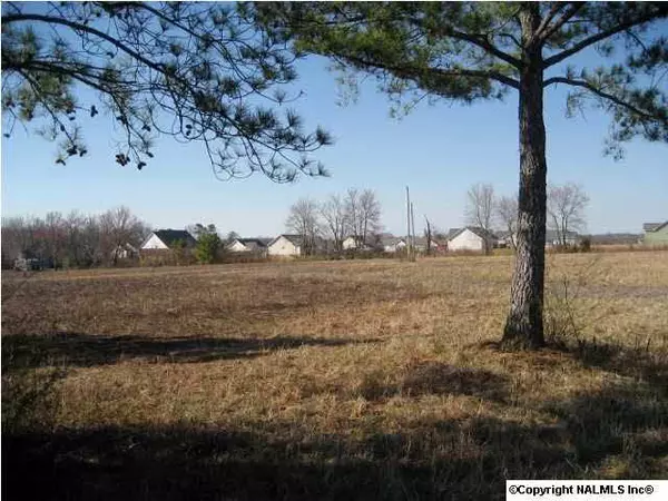 Blake Road, Rainsville, AL 35986