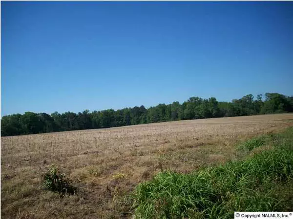 0 Mcclarty Road, Horton, AL 35980