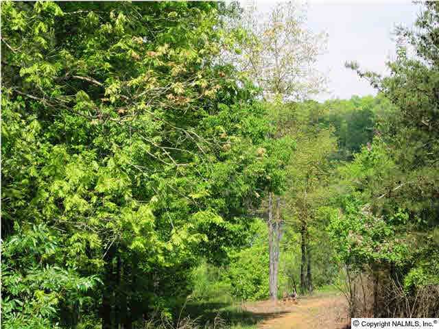 Cullman, AL 35057,400 County Road 113