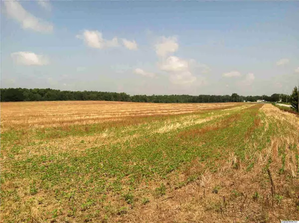 Toney, AL 35773,Golightly Spring Road