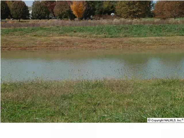 277 Bermuda Lakes Drive, Meridianville, AL 35759