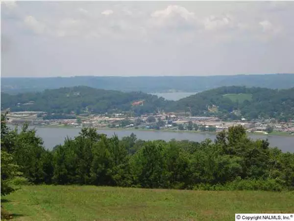 Guntersville, AL 35976,435 Ridgefield Circle