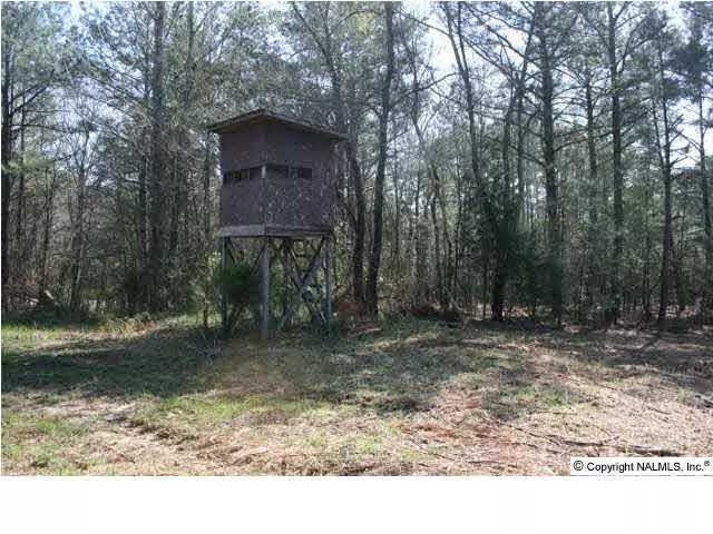 Langston, AL 35755,4903 South Sauty Road