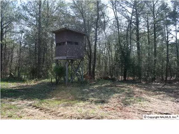 4903 South Sauty Road, Langston, AL 35755