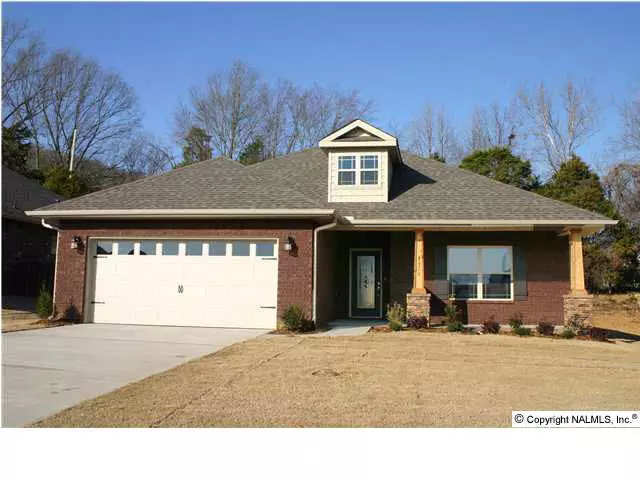 2910 Pasture View Lane, Owens Cross Roads, AL 35763