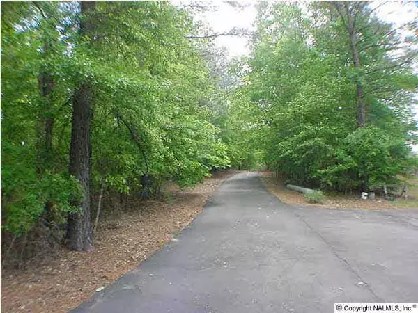 Crane Hill, AL 35053,312 County Road 378