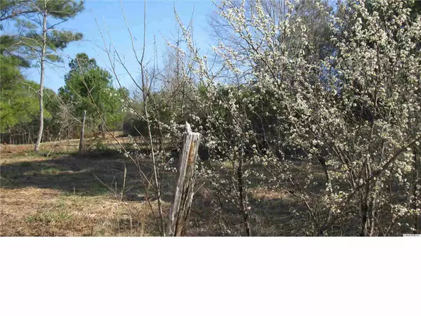 Remlap, AL 35133,215 Lot 2-3 Horsley Road