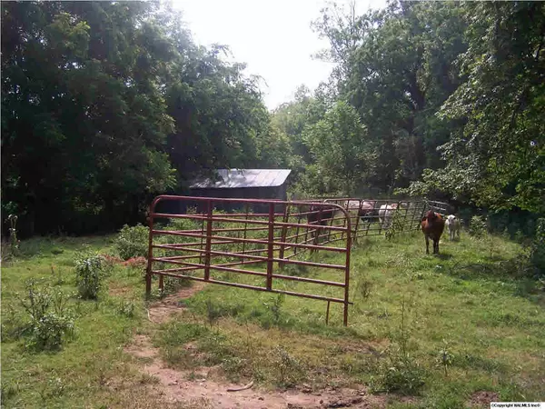 Ardmore, TN 38449,250 Kelly Creek Road