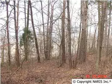 Collinsville, AL 35961,Lot 6 County Road 822