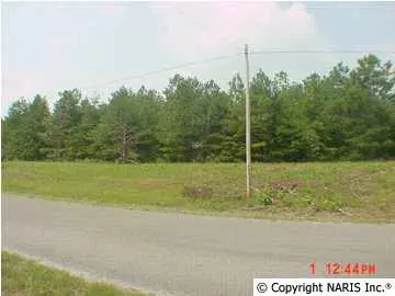 Collinsville, AL 35961,Lot 6 County Road 822