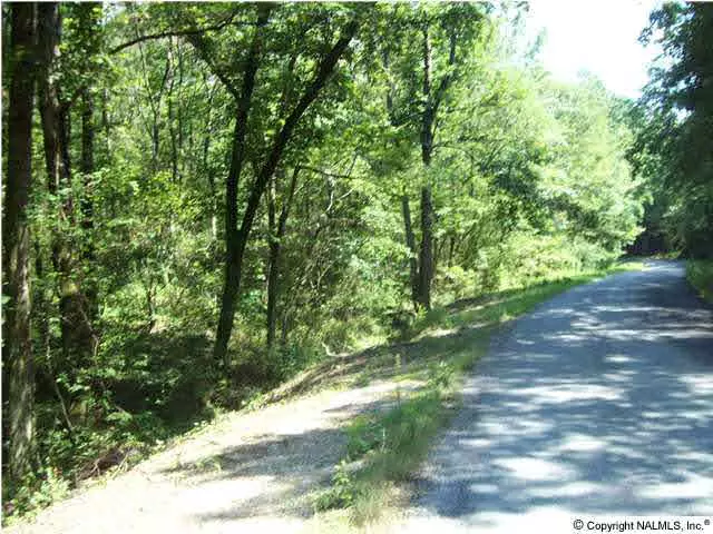 Horton Gap Road, Boaz, AL 35956