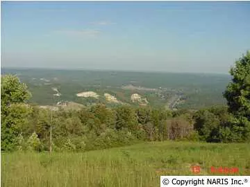 Fort Payne, AL 35967,Lot 4 Blk 1 Citadel Rock Road