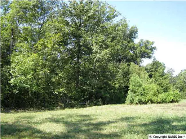 Crane Hill, AL 35053,County Road 4006