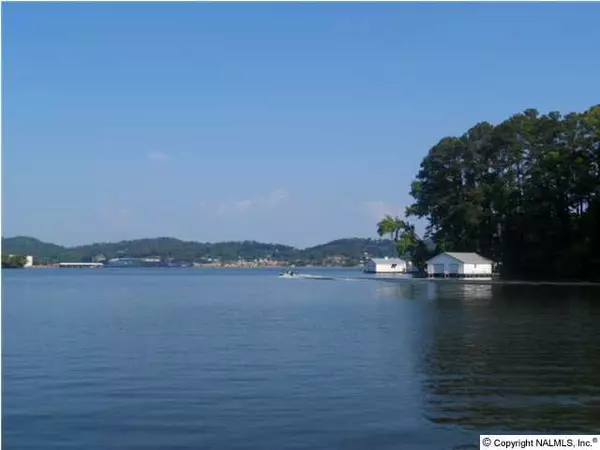 Guntersville, AL 35976,3404 Wyeth Drive