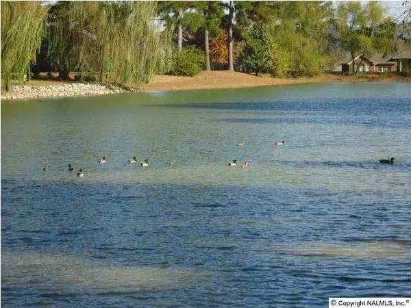 Owens Cross Roads, AL 35763,4404 Hidden Lake Drive