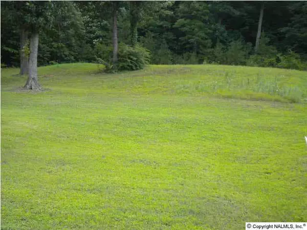 Sleepy Hollow Road, Hartselle, AL 35640