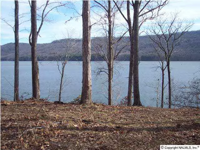 Scottsboro, AL 35769,Lookout Mountain Drive