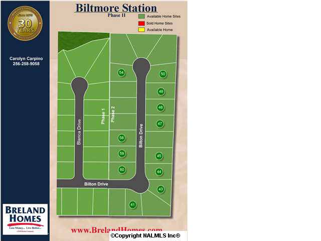 Harvest, AL 35749,124 Bilton Drive