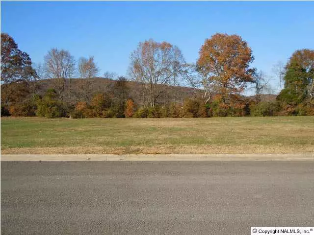 Scottsboro, AL 35768,Plantation Park Lane