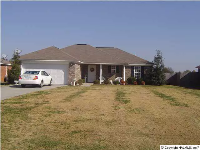 Hazel Green, AL 35750,527 Shady Lane