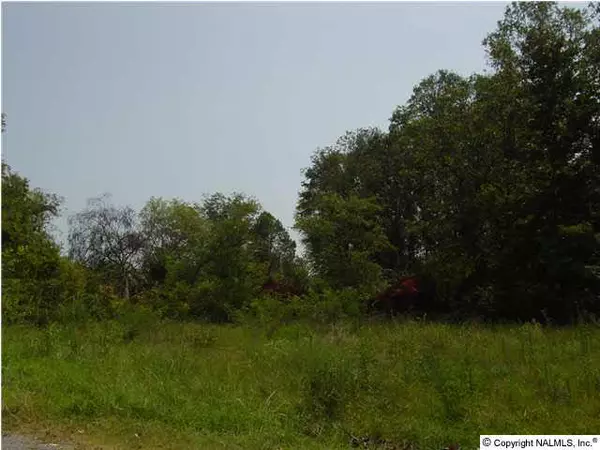 Langston, AL 35755,11 Robert Davis Road