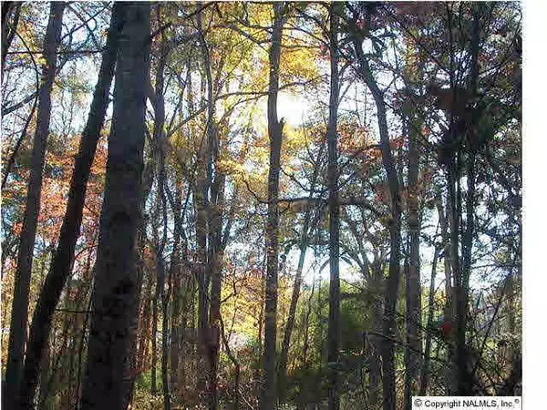 County Road 196, Dawson, AL 35963