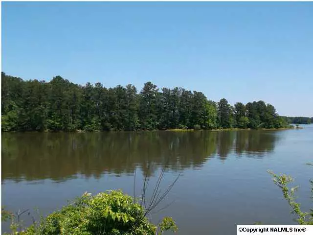 Ashville, AL 35953,Neely Henry Lake