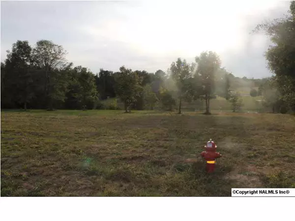 Rainsville, AL 35986,14 Highland Drive