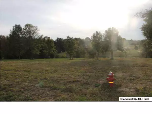 Rainsville, AL 35986,14 Highland Drive