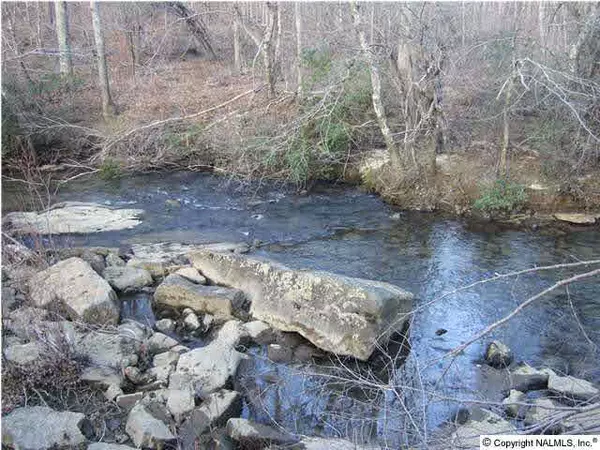 Cloudland, GA 30731,11750 Hwy 48