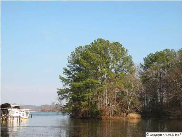 Wood Duck Lane, Guntersville, AL 35976