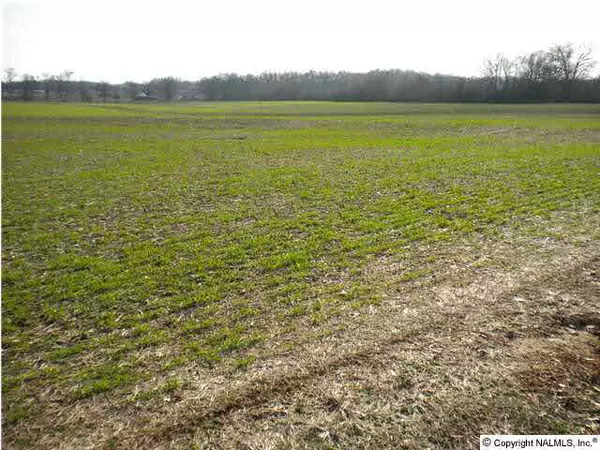 Toney, AL 35773,0 Murphy Hill Road